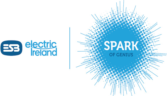 ESB Electric Ireland Spark of Genius