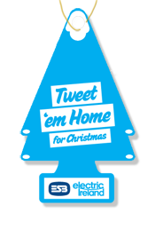 ESB Electric Ireland's Tweet 'em Home