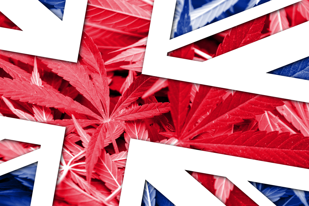 United Kingdom Flag on cannabis background. Drug policy. Legalization of marijuana